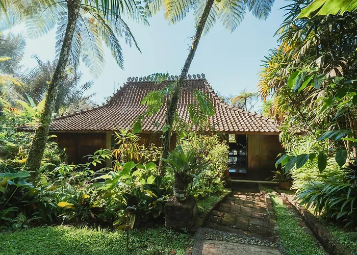 Resort Alassari Sanctuary 5*