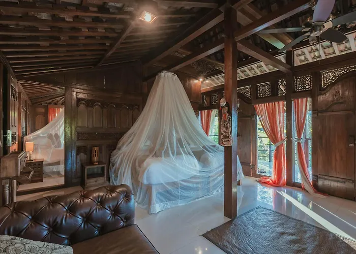 Resort Alassari Sanctuary