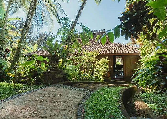 Resort Alassari Sanctuary 5*