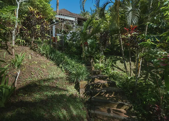 Resort Alassari Sanctuary 5*