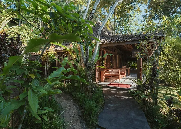 Resort Alassari Sanctuary 5*