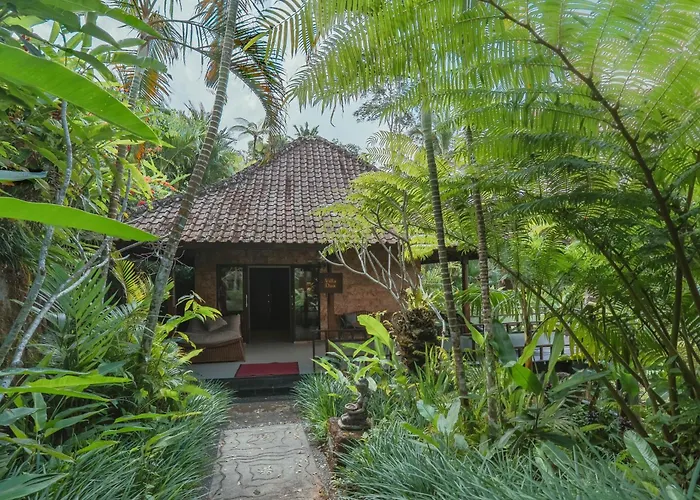 Resort Alassari Sanctuary